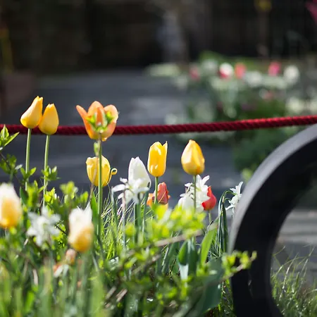 Nala Individuellhotel 3*