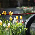 Nala Individuellhotel 3*